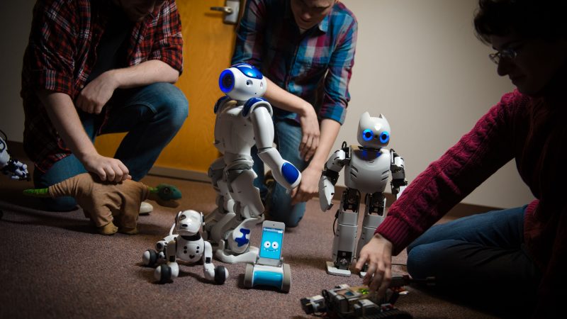 Social Robots & Robot Researchers